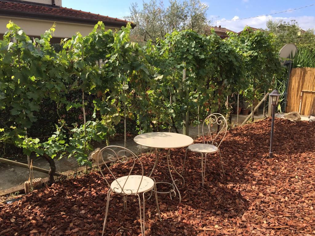 לינה וארוחת בוקר סנטו סטפאנו די מאגרה Il Casale Del Giglio מראה חיצוני תמונה